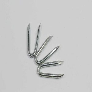 Staples