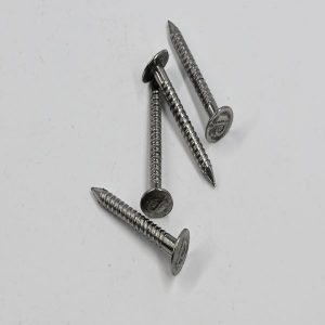 Roofing Nails SS 316/304